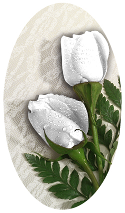 DNSBLUF 060 2 Roses White